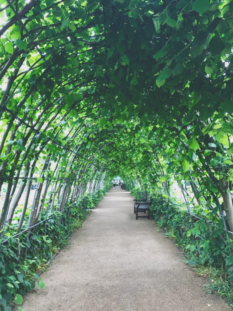 Kensington Palace's garden