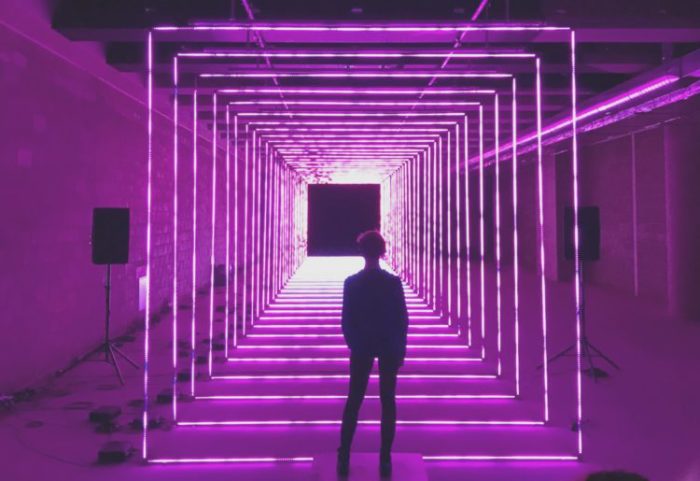 Winter Lights exhibition