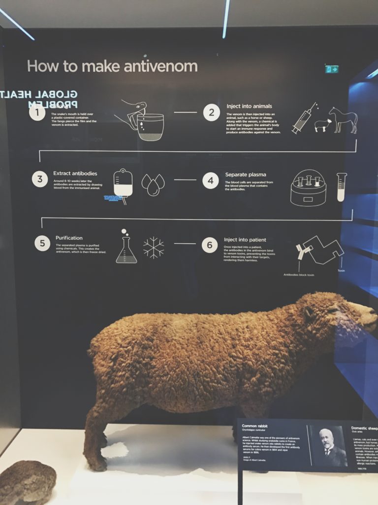 Antivenom, Venom exhibition, Natural History Museum