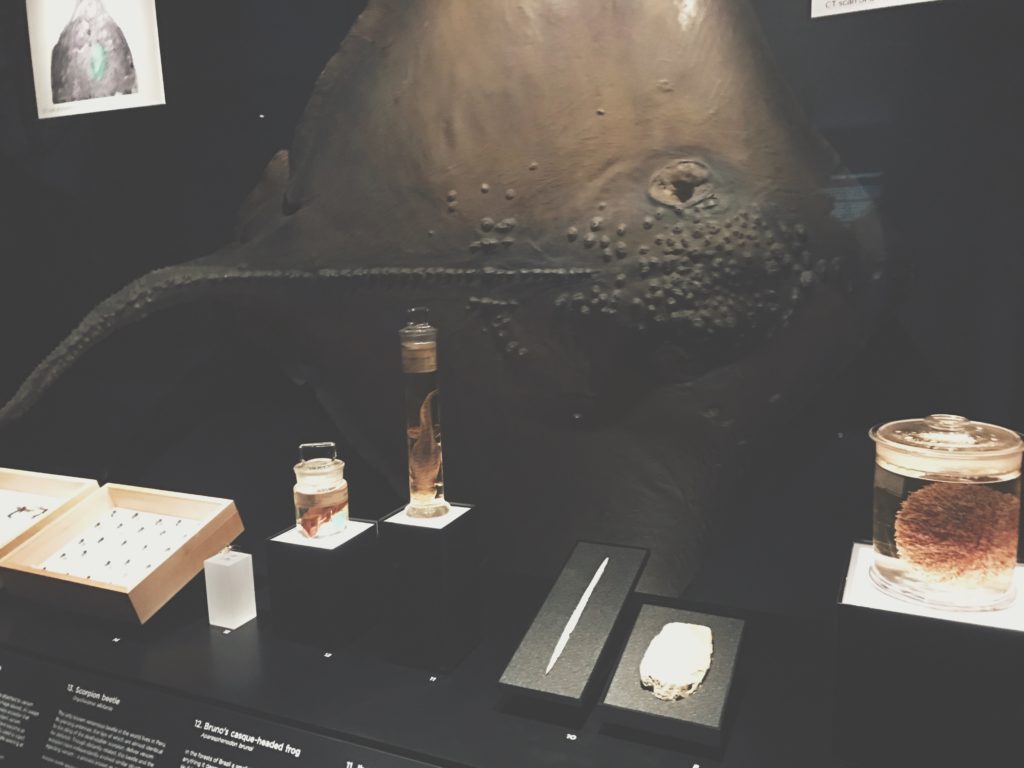 Venom exhibition, Natural History Museum